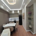 Продажа 4 комнат Новостройка, м. 28 Мая метро, Насими район 12