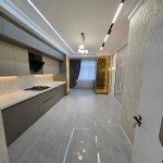 Satılır 3 otaqlı Yeni Tikili, 28 May metrosu, Nəsimi rayonu 9