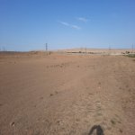Продажа Участок, Гобу, Абшерон район 3