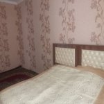 Kirayə (günlük) 3 otaqlı Həyət evi/villa İsmayıllı 12