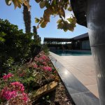 Satılır 2 otaqlı Bağ evi, Nardaran qəs., Sabunçu rayonu 15