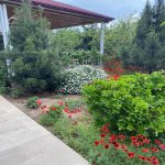 Kirayə (aylıq) 5 otaqlı Bağ evi, Şüvəlan, Xəzər rayonu 8