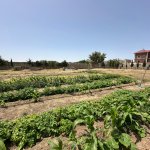 Satılır Torpaq, Buzovna, Xəzər rayonu 2
