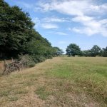 Satılır Torpaq Lənkəran 2