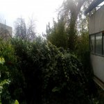 Продажа 3 комнатная Дома/Виллы, пос. Бюльбуля, Сураханы район 5