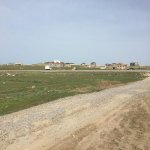 Satılır Torpaq, Saray, Abşeron rayonu 3