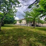 Kirayə (günlük) 4 otaqlı Həyət evi/villa Qəbələ 14