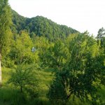 Продажа Участок Гябяля 2