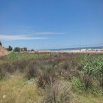Satılır Torpaq, Novxanı, Abşeron rayonu 10