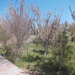 Satılır 5 otaqlı Bağ evi, Novxanı, Abu Petrol Novxanı, Abşeron rayonu 3