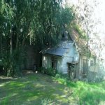 Продажа Участок, пос. Бадамдар, Сябаиль район 4