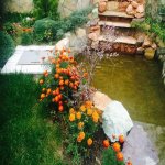 Satılır 4 otaqlı Bağ evi, Şüvəlan, Xəzər rayonu 22