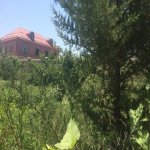 Kirayə (günlük) 4 otaqlı Həyət evi/villa Lənkəran 7