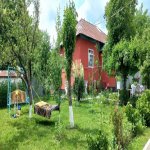 Kirayə (günlük) 3 otaqlı Həyət evi/villa Qəbələ 2