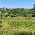 Satılır Torpaq Quba 9