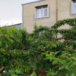 Satılır 4 otaqlı Həyət evi/villa, Buzovna, Xəzər rayonu 1