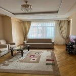 Kirayə (aylıq) 1 otaqlı Yeni Tikili, 28 May metrosu, Nəsimi rayonu 10