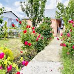 Kirayə (günlük) 4 otaqlı Bağ evi İsmayıllı 13