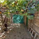 Kirayə (aylıq) 3 otaqlı Bağ evi, Mərdəkan, Xəzər rayonu 4