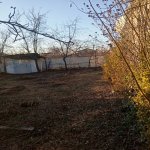 Satılır Torpaq İsmayıllı 4