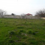 Satılır Torpaq, Saray, Abşeron rayonu 1