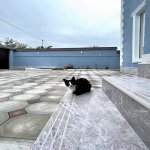 Kirayə (günlük) 6 otaqlı Həyət evi/villa Qəbələ 17