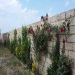 Satılır 6 otaqlı Həyət evi/villa, Novxanı, Abşeron rayonu 13