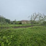 Satılır Torpaq İsmayıllı 5