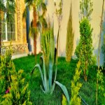 Satılır 4 otaqlı Bağ evi, Mərdəkan, Xəzər rayonu 7