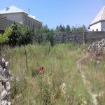 Satılır Torpaq, Yeni Ramana, Sabunçu rayonu 6