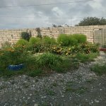 Kirayə (günlük) 2 otaqlı Bağ evi İsmayıllı 5