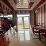 Kirayə (aylıq) 2 otaqlı Yeni Tikili, Nəriman Nərimanov metrosu, Heydər Əliyev Mərkəzi, Nərimanov rayonu 12