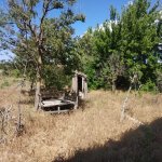Satılır Torpaq, Saray, Abşeron rayonu 2