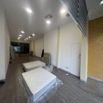 Аренда 2 комнат Офис, м. Насими метро, Насими район 9