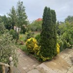 Kirayə (aylıq) 7 otaqlı Həyət evi/villa, Goradil, Abşeron rayonu 4