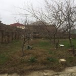 Satılır 4 otaqlı Həyət evi/villa, Masazır, Abşeron rayonu 3