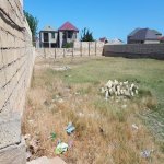 Satılır Torpaq, Abşeron rayonu 1