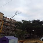 Kirayə (aylıq) 1 otaqlı Köhnə Tikili, Elmlər akademiyası metrosu, Yasamal rayonu 6
