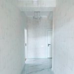 Kirayə (aylıq) 3 otaqlı Yeni Tikili, Nərimanov rayonu 18
