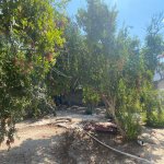 Satılır Torpaq, Mərdəkan, Xəzər rayonu 8