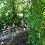 Kirayə (günlük) 3 otaqlı Həyət evi/villa Qəbələ 8