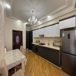Kirayə (aylıq) 2 otaqlı Yeni Tikili, Nəriman Nərimanov metrosu, Nərimanov rayonu 8