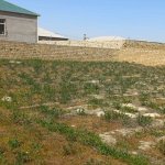 Satılır Torpaq, Qobu, Abşeron rayonu 3