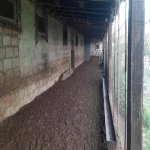 Продажа Объект Шамаха 2