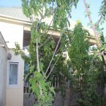 Satılır 4 otaqlı Həyət evi/villa, Binə qəs., Xəzər rayonu 41