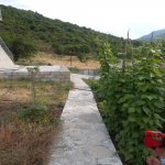 Kirayə (günlük) 4 otaqlı Həyət evi/villa İsmayıllı 35