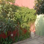 Satılır 3 otaqlı Həyət evi/villa, Koroğlu metrosu, Zabrat qəs., Sabunçu rayonu 17