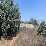 Продажа Участок, Фатмаи, Абшерон район 17