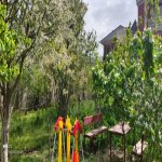 Satılır 7 otaqlı Həyət evi/villa, Buzovna, Xəzər rayonu 6