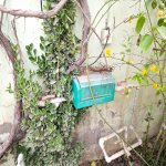 Satılır 4 otaqlı Həyət evi/villa, Abşeron rayonu 19